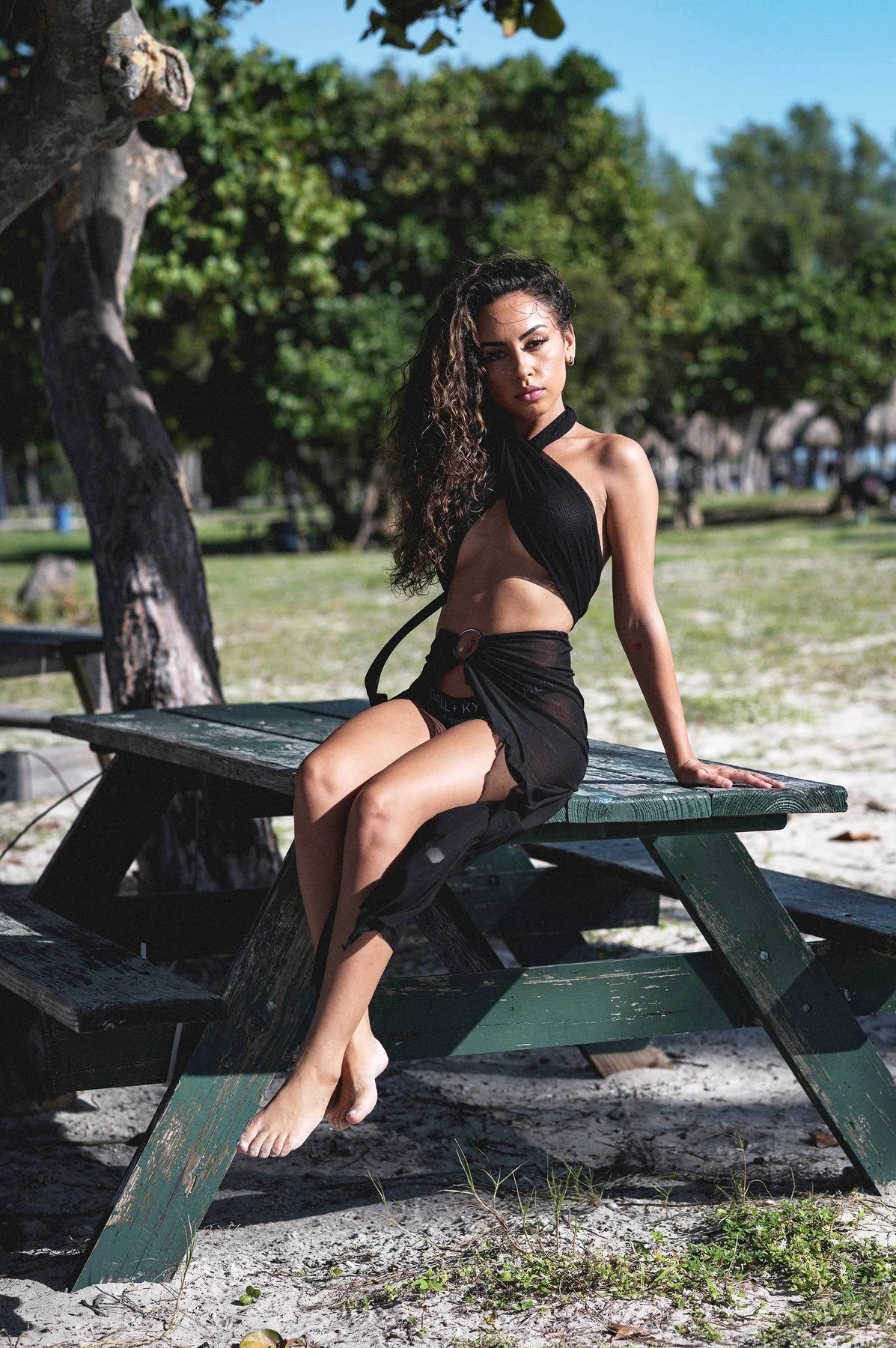 Mesh Swim Cover Up Ring Skirt With Top