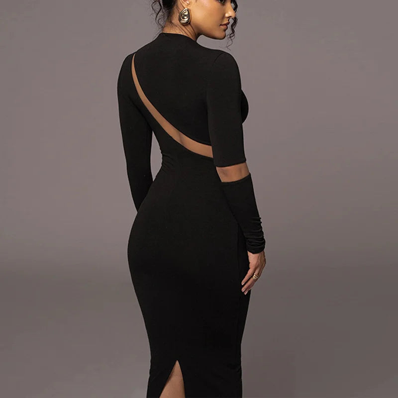 Sheer Long Sleeved Skinny Plus Size Long Skirt And A High Waisted Crewneck Skirt