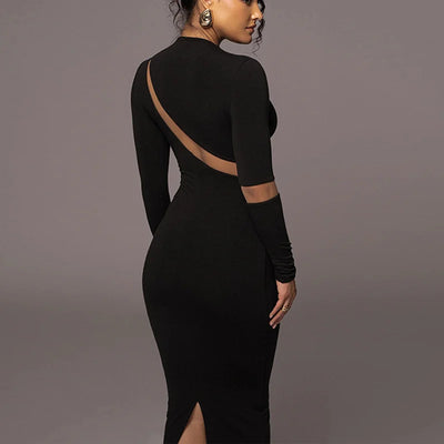 Sheer Long Sleeved Skinny Plus Size Long Skirt And A High Waisted Crewneck Skirt