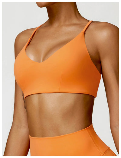 Quick Dry Sports Bra