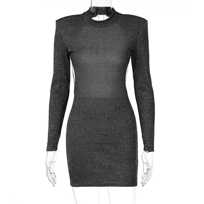 Sexy Backless Round Neck Long Sleeve Hip Dress