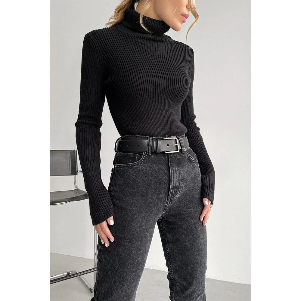 Lengthened Turtleneck Sweater