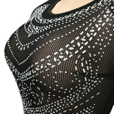 Mesh Perspective Long Sleeved Slit Long Dress