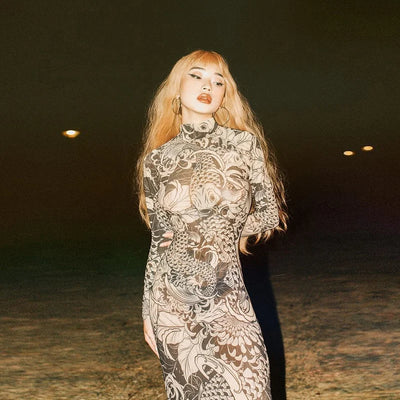 New Fashion Statement Mesh Print Sheer High Neck Slim Dress