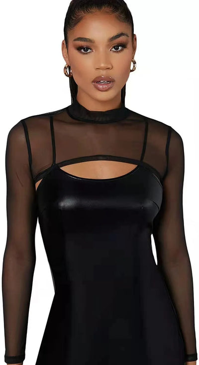 Transparent Long Sleeve Top