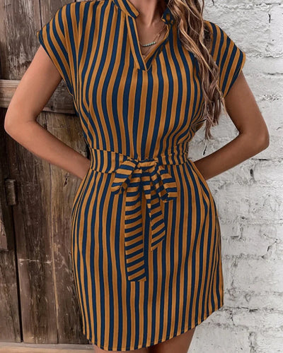 Sleeveless Striped Lace Dress