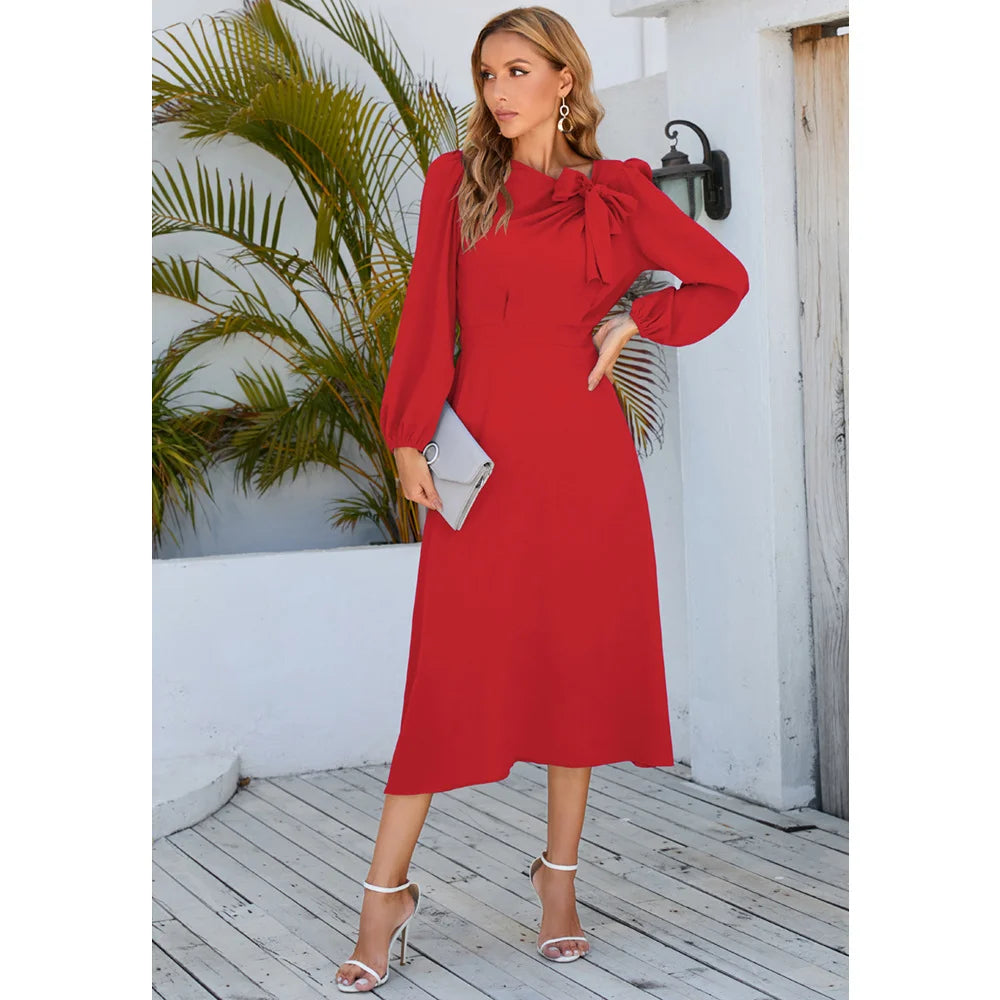 Long Dress Winter Long Skirt